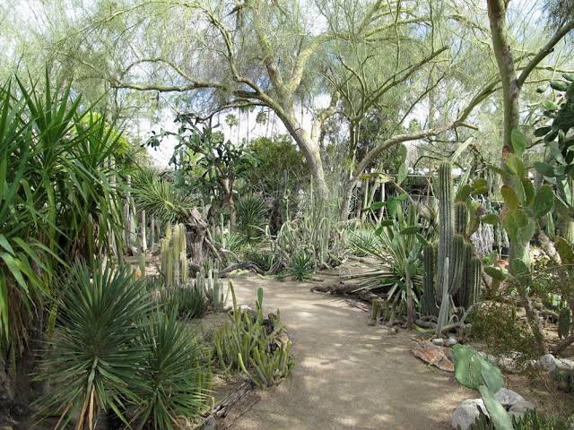 Moorten Botanical Garden in Palm Springs CA